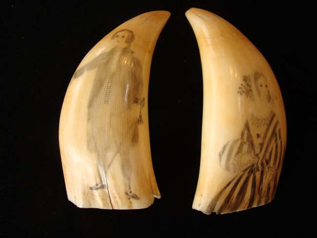A beautiful pair of 19th century scrimshawed whale's teeth